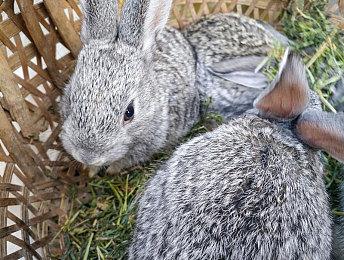 《漫威蜘蛛侠2》里到处都是LGBTQ+元素 实在太正确了